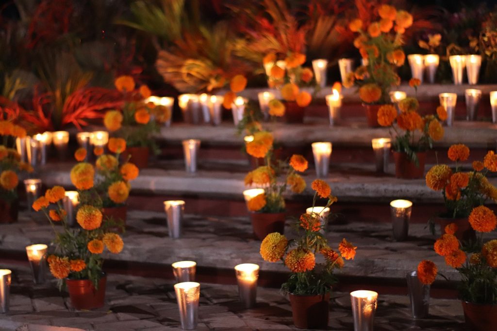 Una escalinata con flores ce cempasúchil